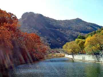 澳門必開(kāi)一肖一碼免費(fèi)——揭秘彩票背后的秘密，澳門彩票揭秘，必開(kāi)一肖一碼免費(fèi)背后的秘密