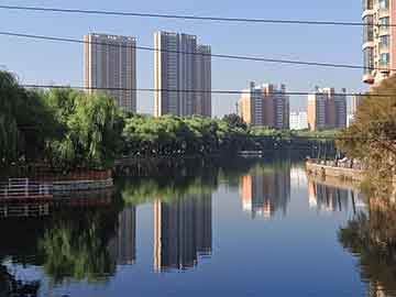 管家婆一肖一碼必中一肖，揭秘精準(zhǔn)預(yù)測(cè)的秘密，揭秘精準(zhǔn)預(yù)測(cè)，管家婆一肖一碼必中一肖的秘密