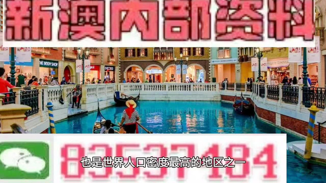 澳門王中王正版游戲，探索未來的新篇章（2025年展望），澳門王中王正版游戲，探索未來新篇章，展望2025年發(fā)展