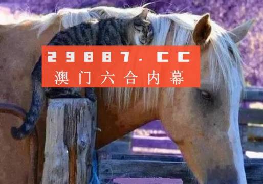 澳門一肖一碼一待一中四不像，探索與解析，澳門一肖一碼一待一中四不像，深度解析與探索