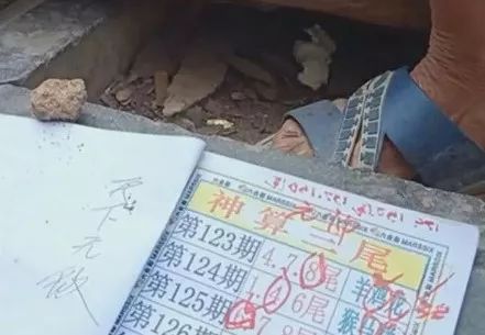 香港中特期期準(zhǔn)資料，深度解析與探索，香港中特期期準(zhǔn)資料深度解析與探索報告