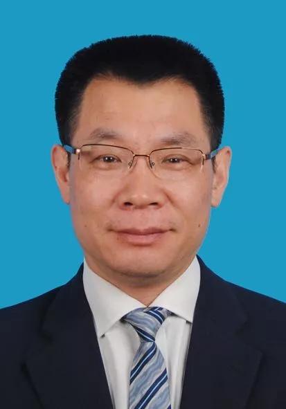 2024新奧正版資料免費(fèi)獲取指南，2024新奧正版資料免費(fèi)獲取攻略