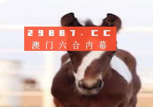 澳門一肖一碼狀元紅，揭秘彩票背后的秘密與策略，澳門彩票揭秘，狀元紅背后的秘密與策略解析