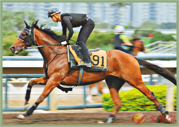 香港賽馬，探索數(shù)字背后的激情與榮耀，香港賽馬，數(shù)字背后的激情與榮耀之旅