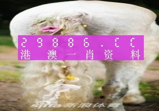 澳門羊了個羊與各大圖庫的資料揭秘，2023年澳門今晚必中一肖一碼永久免費資料庫大解密，澳門羊了個羊與資料庫揭秘，2023年必中一肖一碼永久免費資料大解密