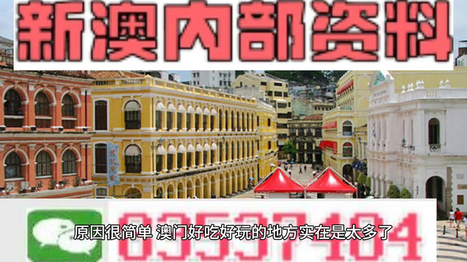 澳門精準資料大全免費，探索與解析，澳門精準資料大全免費解析探索