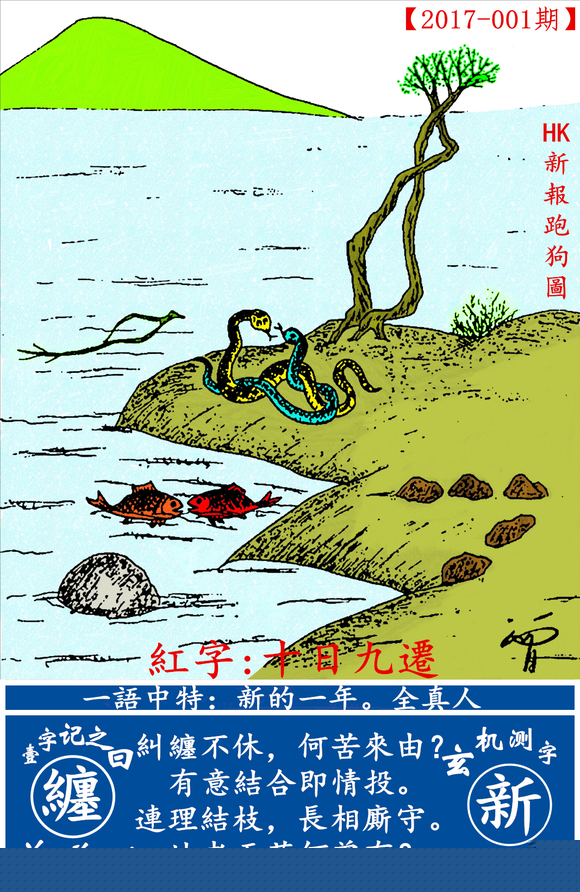 探索全新版跑狗圖，7777788888的魅力與策略，探索全新版跑狗圖，7777788888的魅力與攻略解析