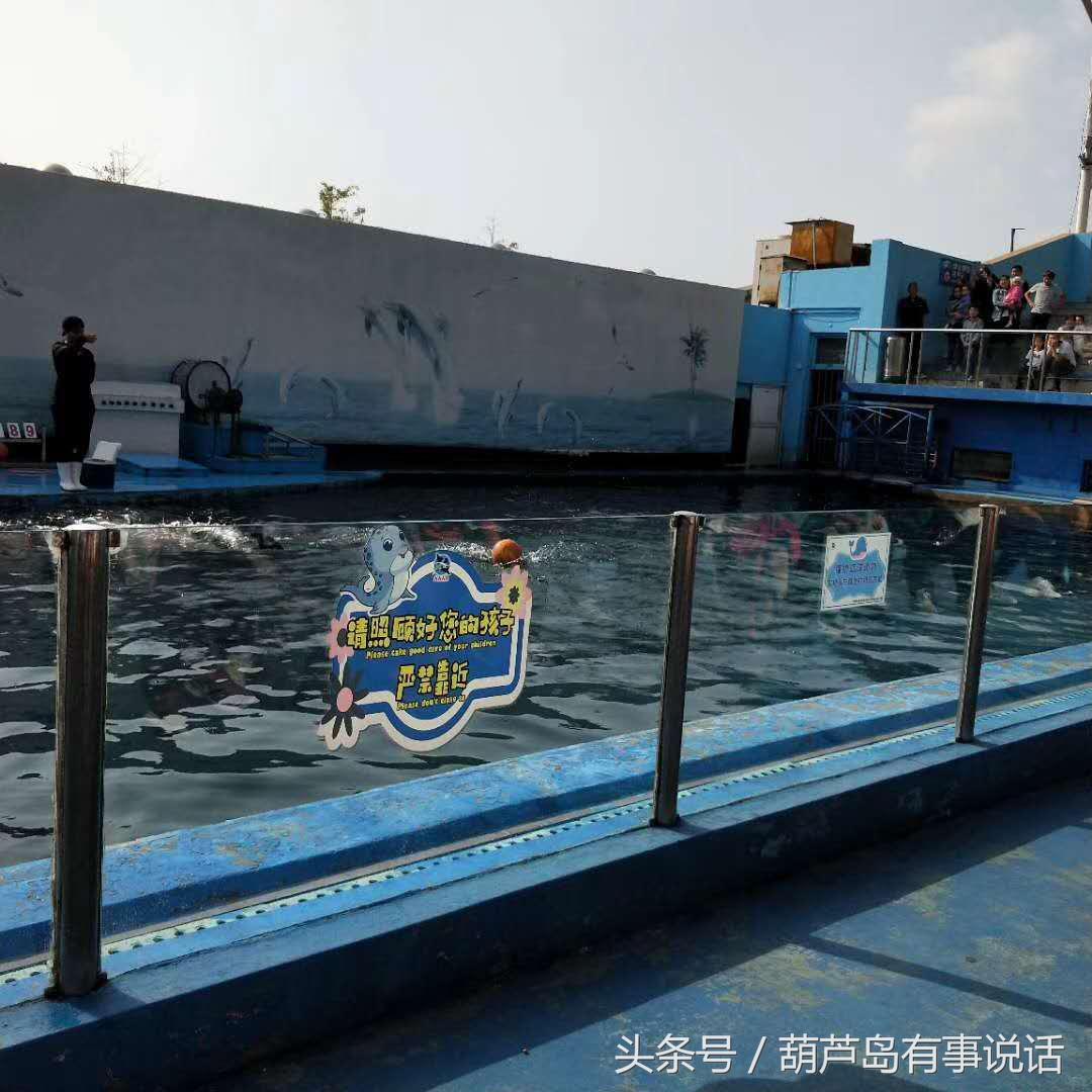 揭秘9點30分彩新澳，全方位解讀彩票新玩法，揭秘9點30分彩新澳，全方位解讀彩票新玩法攻略