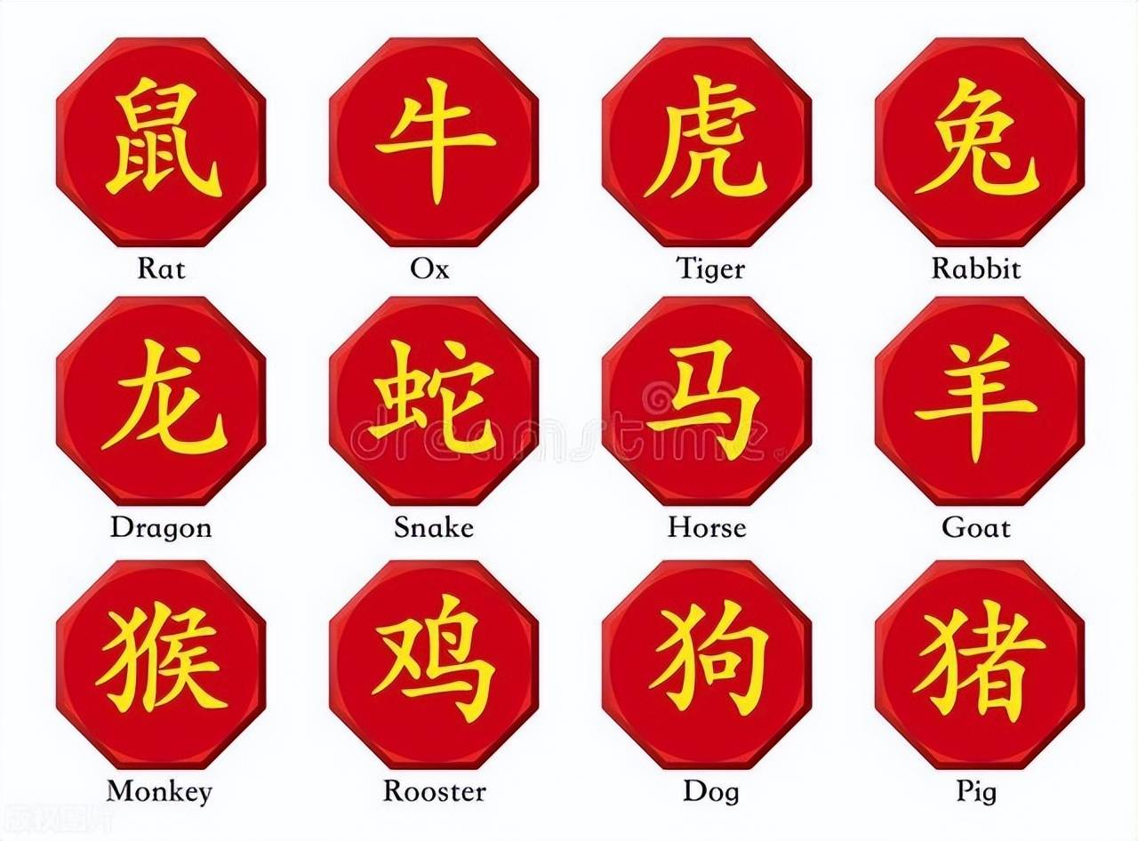 新澳特碼，羊牛虎各數(shù)10——揭秘背后的數(shù)字奧秘，揭秘新澳特碼數(shù)字奧秘，羊?；⒏鲾?shù)背后的秘密