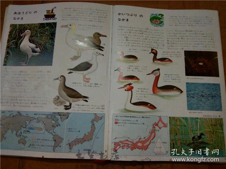 今日正版跑狗圖分享，探索7777788888跑狗圖的魅力，今日正版跑狗圖分享，探索魅力十足的777778跑狗圖