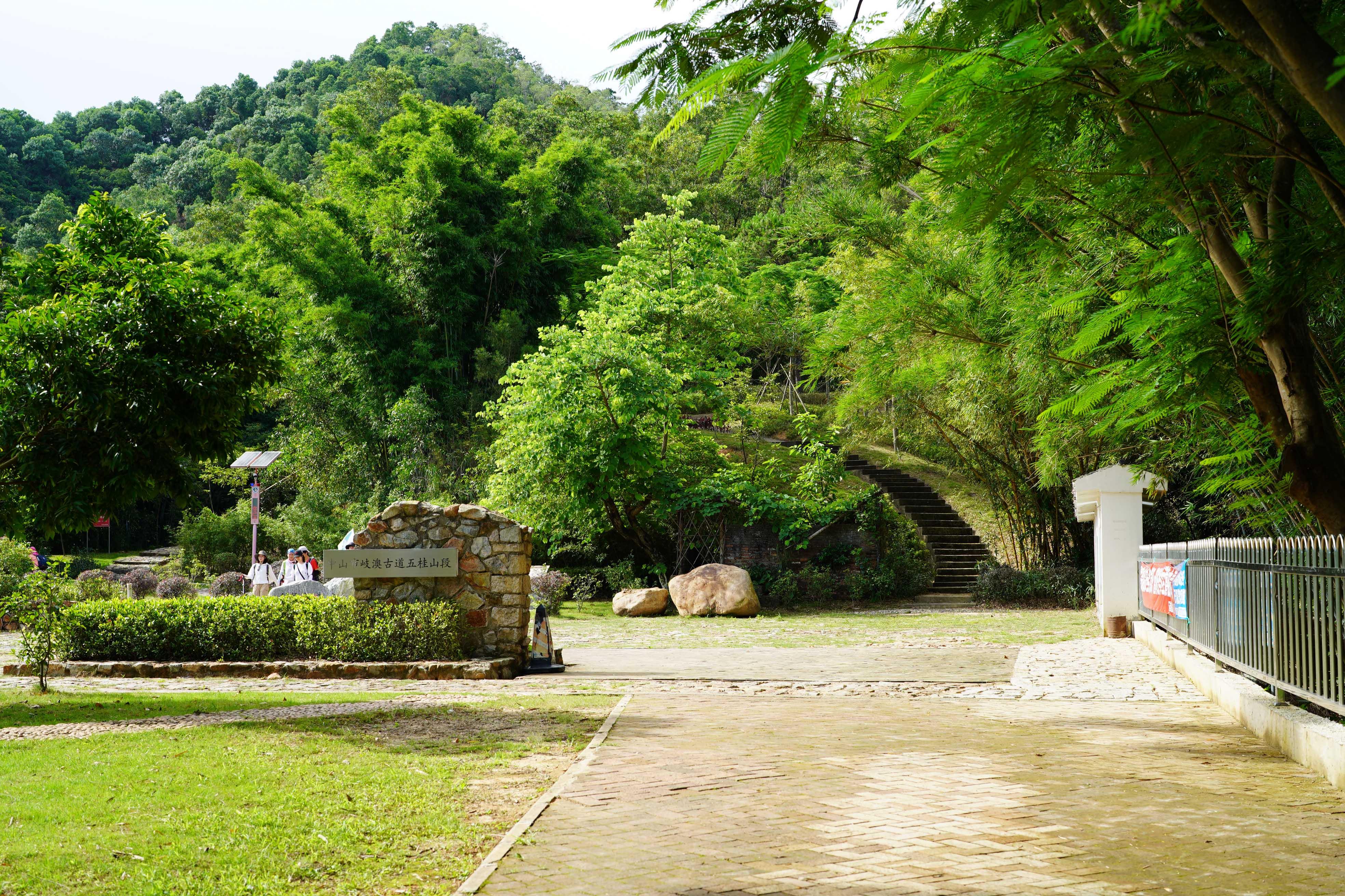 新澳門彩生肖走勢(shì)圖，探索與解讀彩票背后的秘密，探索解讀新澳門彩生肖走勢(shì)圖，彩票背后的秘密揭秘