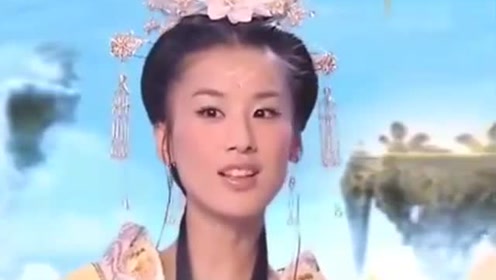曾道道人資料免費(fèi)大全，深度探索與解析，曾道道人資料深度解析與免費(fèi)大全探索