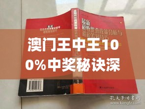 新澳門(mén)王中王期期中，探索與解析，新澳門(mén)王中王期期中，深度探索與解析