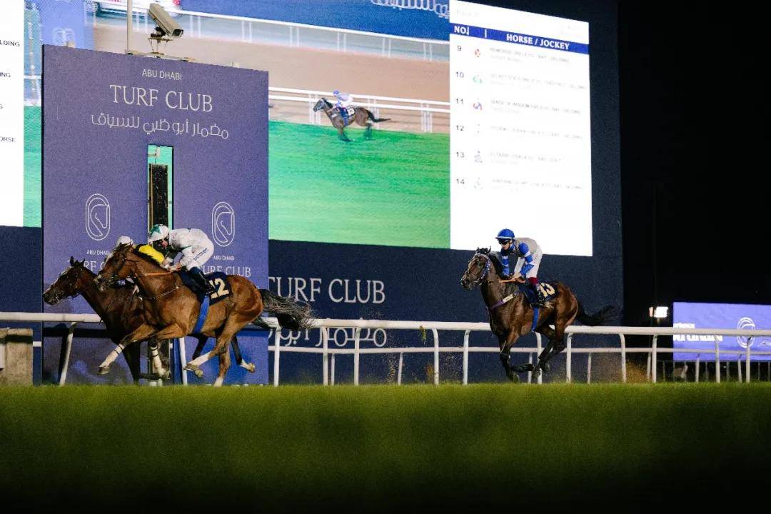 澳門特馬今晚開獎一，探索彩票背后的秘密與期待，澳門特馬今晚開獎，揭秘彩票背后的秘密與期待大獎的激動心情