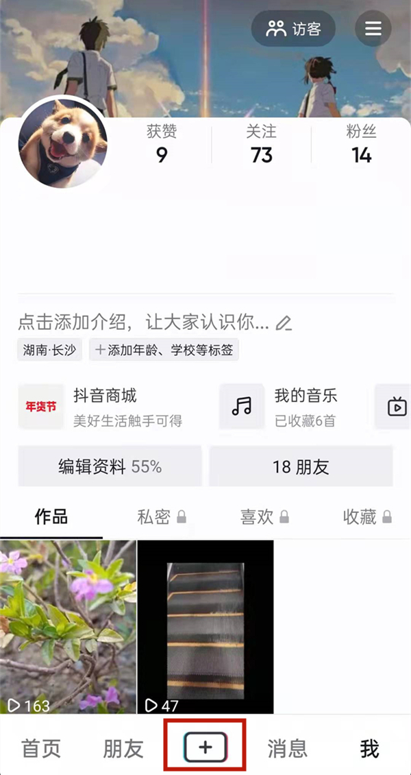 白小姐的精準免費四肖，揭秘背后的秘密，揭秘白小姐精準免費四肖背后的秘密