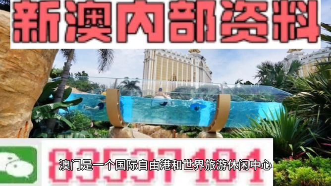 新澳的資料去哪里找——全面指南，新澳資料全攻略，尋找資料的途徑與指南