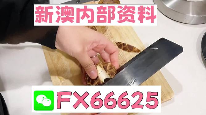 澳門九點(diǎn)半9點(diǎn)半網(wǎng)站——探索其魅力與優(yōu)勢，澳門九點(diǎn)半網(wǎng)站，魅力與優(yōu)勢探索