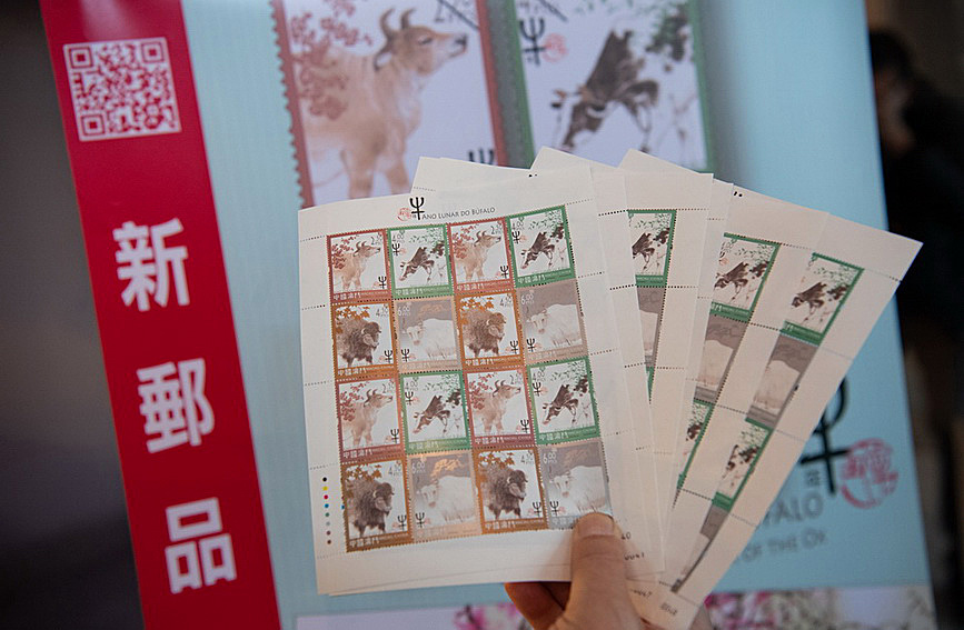 澳門值日生肖600圖庫與八百圖庫開獎，探索生肖圖庫的魅力與奧秘，澳門生肖圖庫開獎揭秘，探索值日生肖600圖庫與八百圖庫的魅力與奧秘