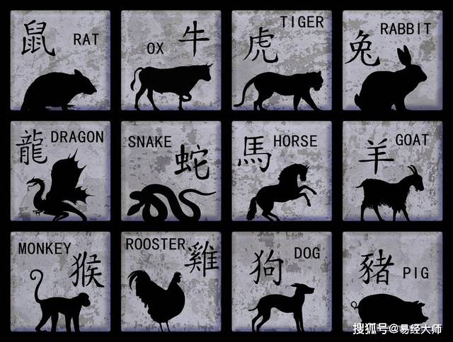 新澳特碼，羊?；⒏鲾?shù)10的獨(dú)特魅力與解析，新澳特碼，羊牛虎各數(shù)10的獨(dú)特魅力深度解析