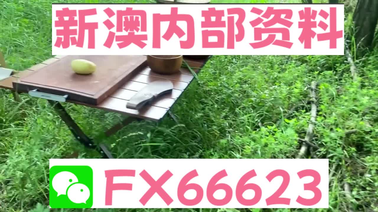 新奧特碼走勢(shì)圖解析與預(yù)測(cè)，新奧特碼走勢(shì)圖解析與預(yù)測(cè)，未來趨勢(shì)探討