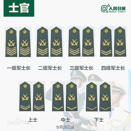 全球各國軍士長軍銜對照表及其重要性，全球各國軍士長軍銜對照表，揭示其重要性