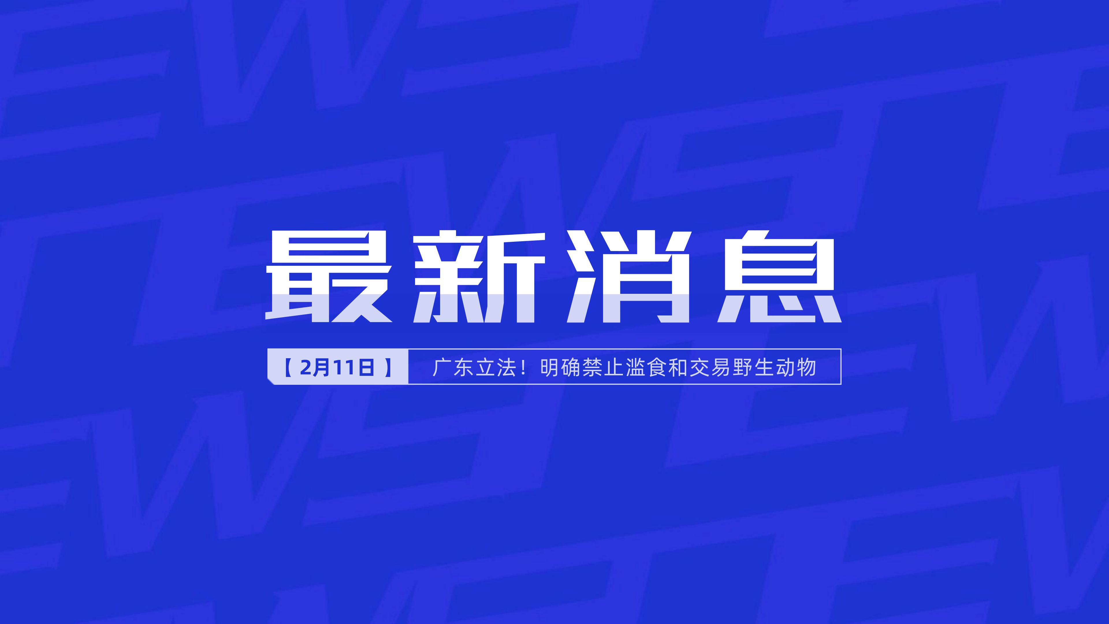 新聞最新新聞，掌握時事熱點，洞悉世界動態(tài)，時事熱點速遞，掌握全球最新動態(tài)新聞