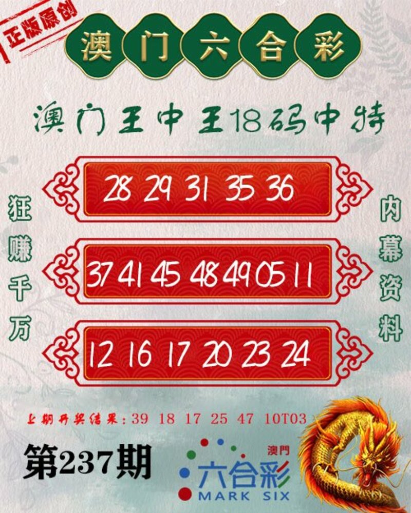 新澳門(mén)王中王期期中，探索與解析，新澳門(mén)王中王期期中，深度探索與解析