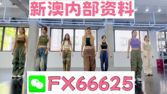 新澳持碼會(huì)資料詳解，新澳持碼會(huì)資料全面解析