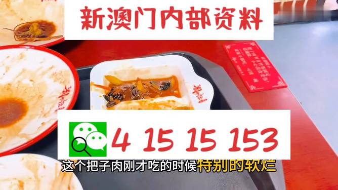 澳門(mén)王中王六碼新澳門(mén)，探索與解析，澳門(mén)王中王六碼新澳門(mén)，深度探索與解析