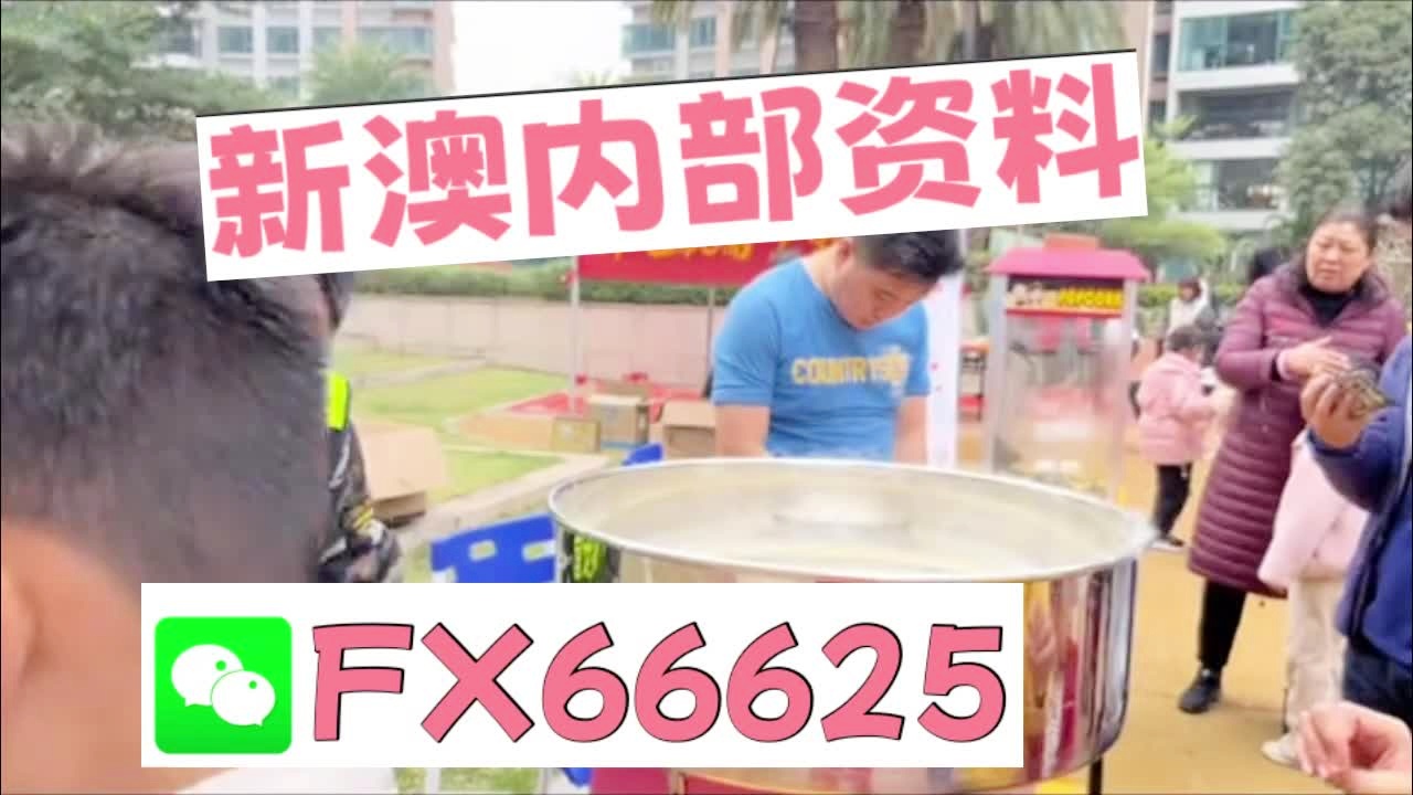 澳門乾坤寶典與最新資料大全，探索未來的奧秘（2025新澳資料大全），澳門乾坤寶典與最新資料大全，探索未來奧秘（2025新澳資訊總匯）