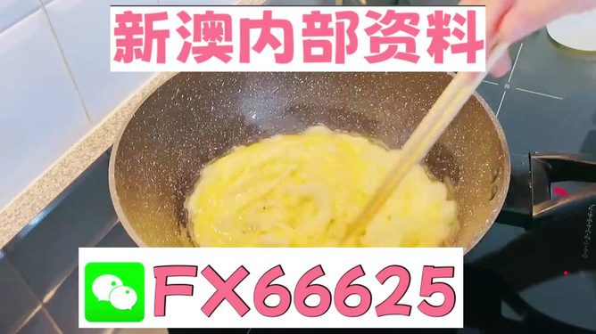 澳門九點(diǎn)半9點(diǎn)半網(wǎng)站——探索與體驗(yàn)，澳門九點(diǎn)半網(wǎng)站，探索與體驗(yàn)之旅
