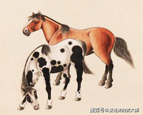 香港四不像一肖生肖圖，揭秘背后的神秘文化，香港四不像一肖生肖圖，神秘文化背后的揭秘