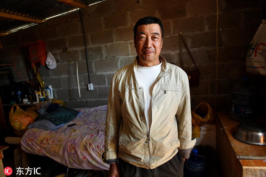 博科圣地組織，深度解析與理解，博科圣地組織深度解析與探究