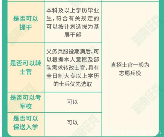 士官直招與義務(wù)兵的區(qū)別，深入了解軍隊(duì)招募制度，直招士官與義務(wù)兵招募制度深度解析，軍隊(duì)招募制度詳解