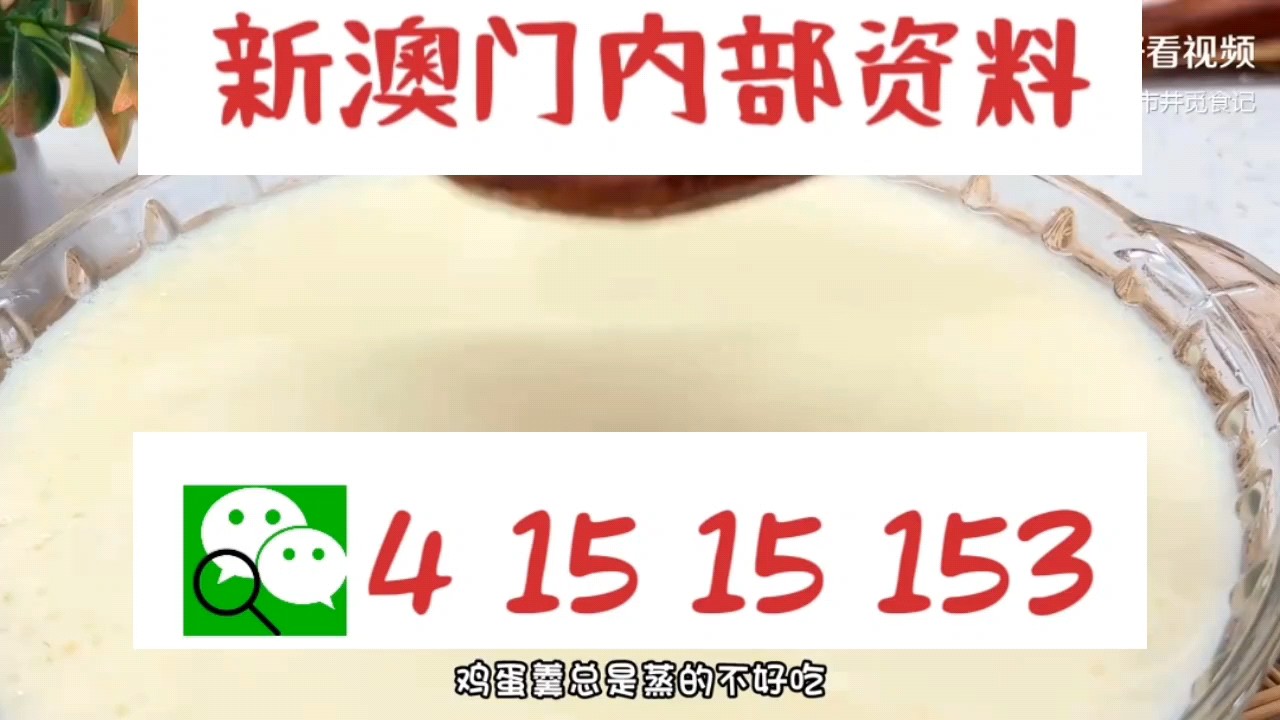 新澳門中特網中特馬，探索與解析，澳門中特馬探索與解析指南