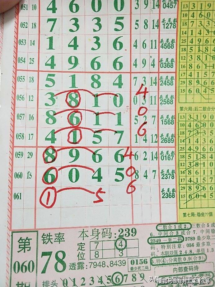 平特肖推算法，探索搜索引擎優(yōu)化的新境界，平特肖推算法，開啟搜索引擎優(yōu)化新境界的探索之旅