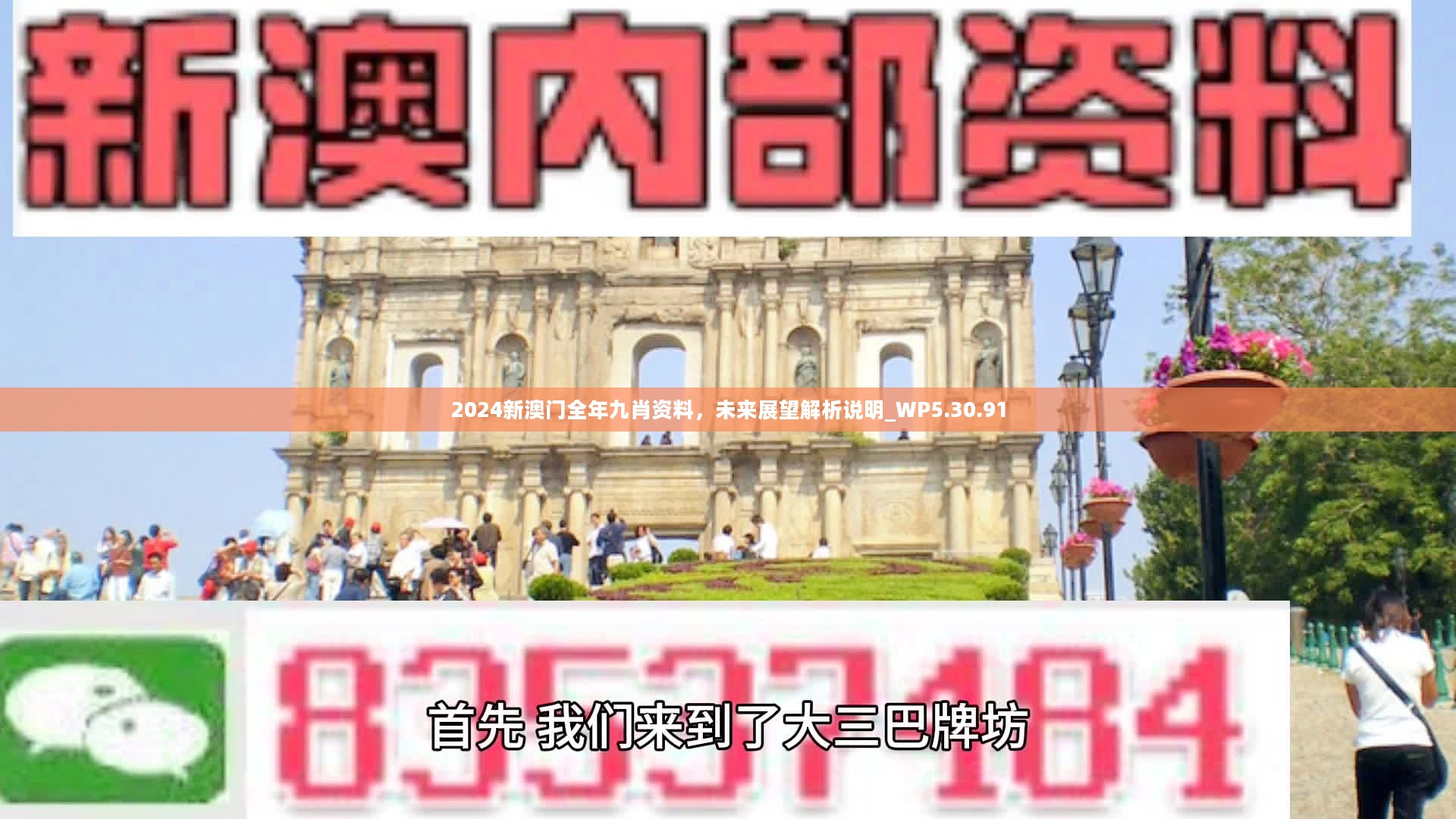 新澳門精準九肖，揭秘預測技巧與策略，揭秘新澳門精準九肖預測技巧與策略