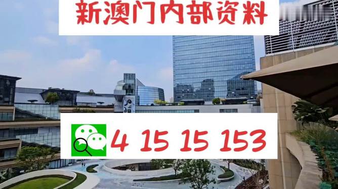 新澳門單雙，探索數(shù)字世界的奧秘與魅力，澳門數(shù)字世界的奧秘與魅力探索，單雙數(shù)的奇幻之旅
