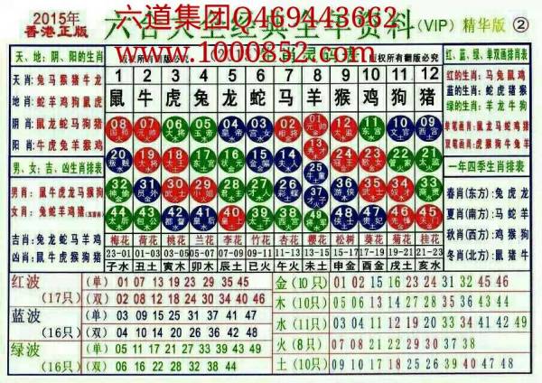 揭秘2024十二生肖49碼表——完整指南，揭秘十二生肖49碼表全攻略，2024年最新版指南