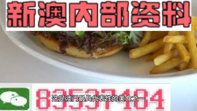 新澳2024生肖最新資料解析與預(yù)測(cè)，新澳2024生肖解析與預(yù)測(cè)報(bào)告