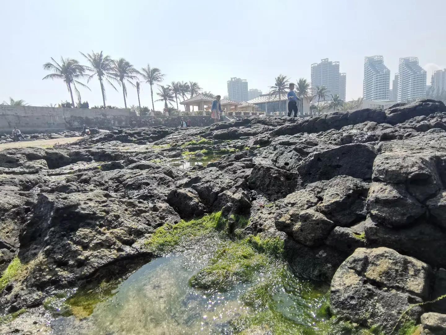 解放海南島電視劇全集下載，探尋30集完整劇情，解放海南島電視劇全集下載，探尋完整的30集劇情探索