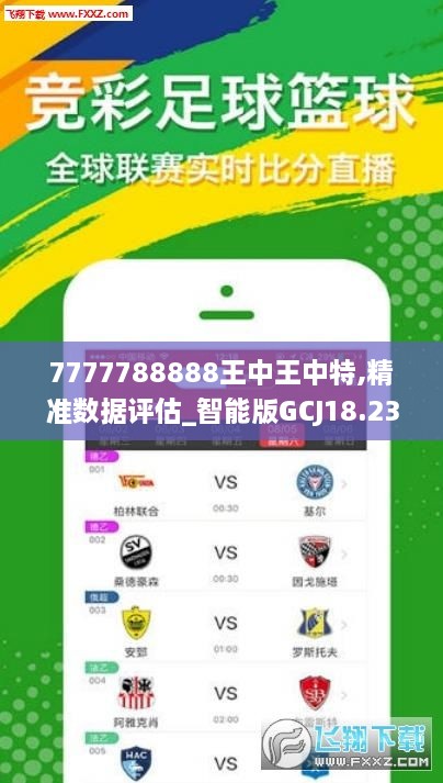 王中王一句中平肖，探尋背后的奧秘與意義，王中王一句中平肖，背后的奧秘與意義探尋