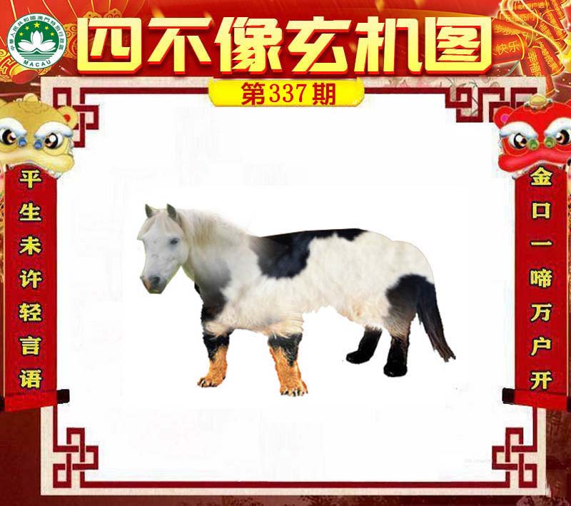 王中王四不像肖一肖中特，探索神秘現(xiàn)象背后的真相，神秘現(xiàn)象背后的真相探索，王中王四不像肖一肖中特揭秘