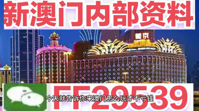 澳門今晚必開一肖——揭秘生肖彩票的魅力與策略，澳門生肖彩票揭秘，策略與魅力探索