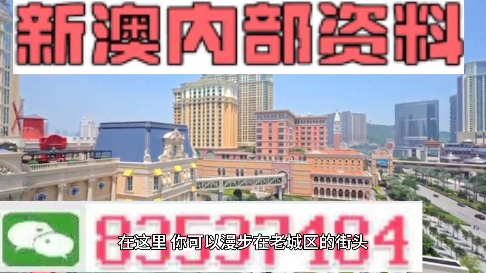 新澳門期期準(zhǔn)精準(zhǔn)，探索澳門的未來(lái)與SEO策略，澳門未來(lái)展望與SEO策略探索，精準(zhǔn)瞄準(zhǔn)新機(jī)遇