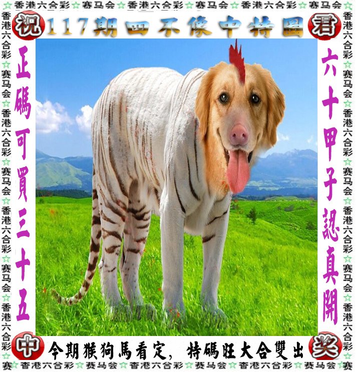 王中王四不像一肖論壇，探索神秘論壇的世界，王中王四不像一肖論壇，神秘論壇世界的探索之旅