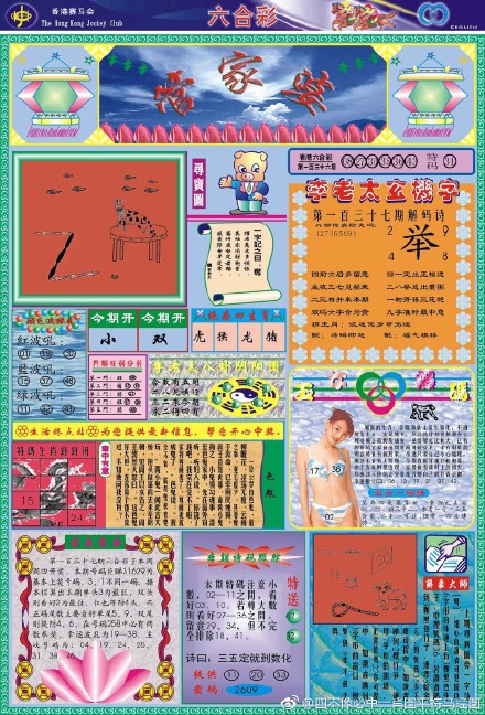 王中王四不像必出一肖圖——揭秘彩票背后的秘密，揭秘彩票背后的秘密，王中王四不像必出一肖圖的真相探索