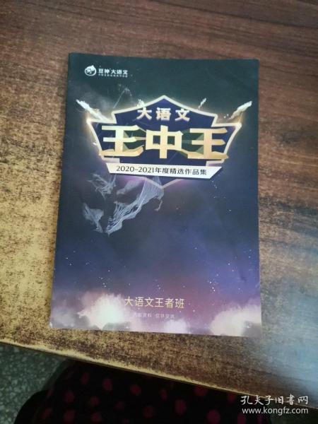 中王中王資料一肖中特天，深度解析與探索，中王中王資料一肖中特天，深度探索與解析報告