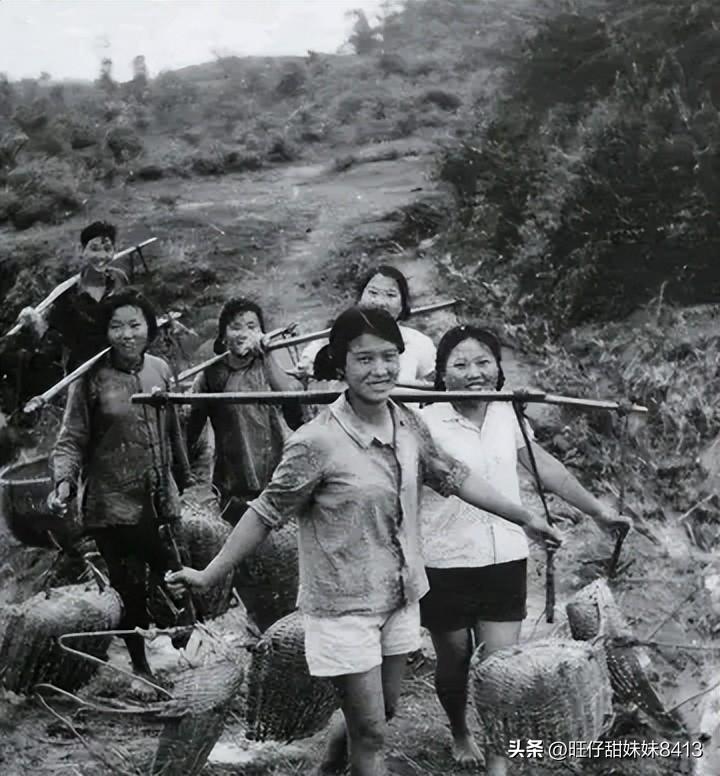 關(guān)于49圖庫圖片資料的專業(yè)解析與探索，49圖庫圖片資料深度解析與探索