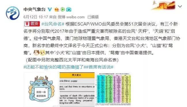 新澳門必中三肖三碼三期必開劉伯，揭秘彩票背后的秘密與策略，揭秘彩票背后的秘密與策略，劉伯的新澳門三期必開三肖三碼預測技巧